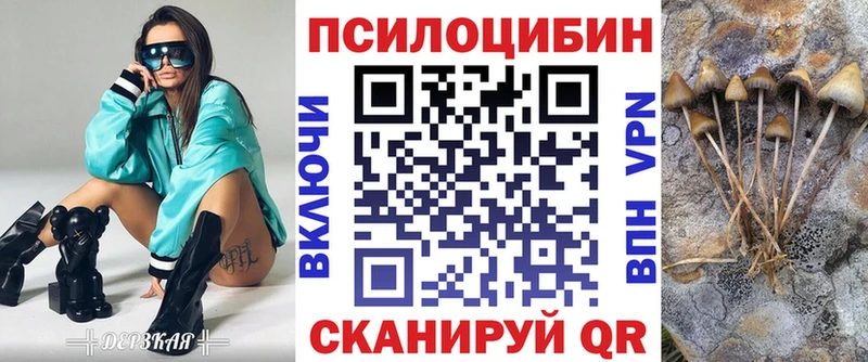 что такое   Дзержинск  Псилоцибиновые грибы прущие грибы 